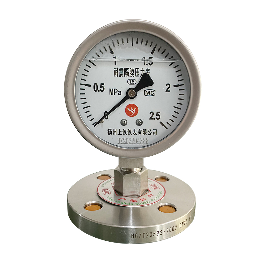 法蘭式隔膜(mo)壓力表-Y100MF